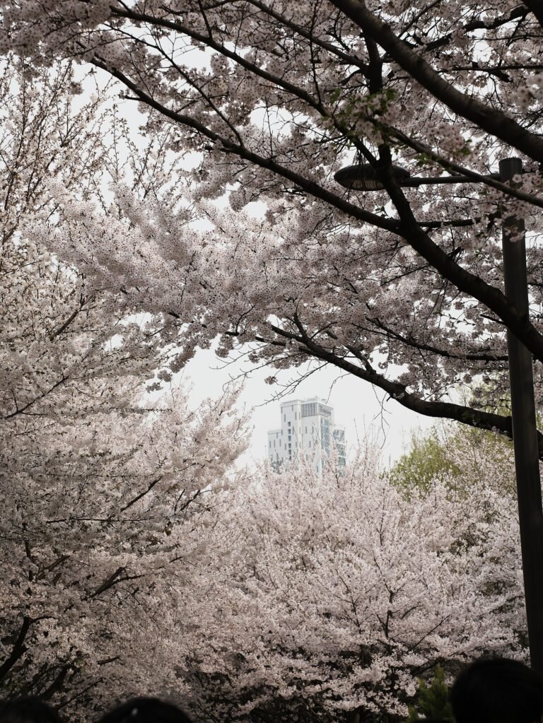 NCT Travel Guide to Korea: SM, Seoul Fan Spots and NCT LIFE Locations