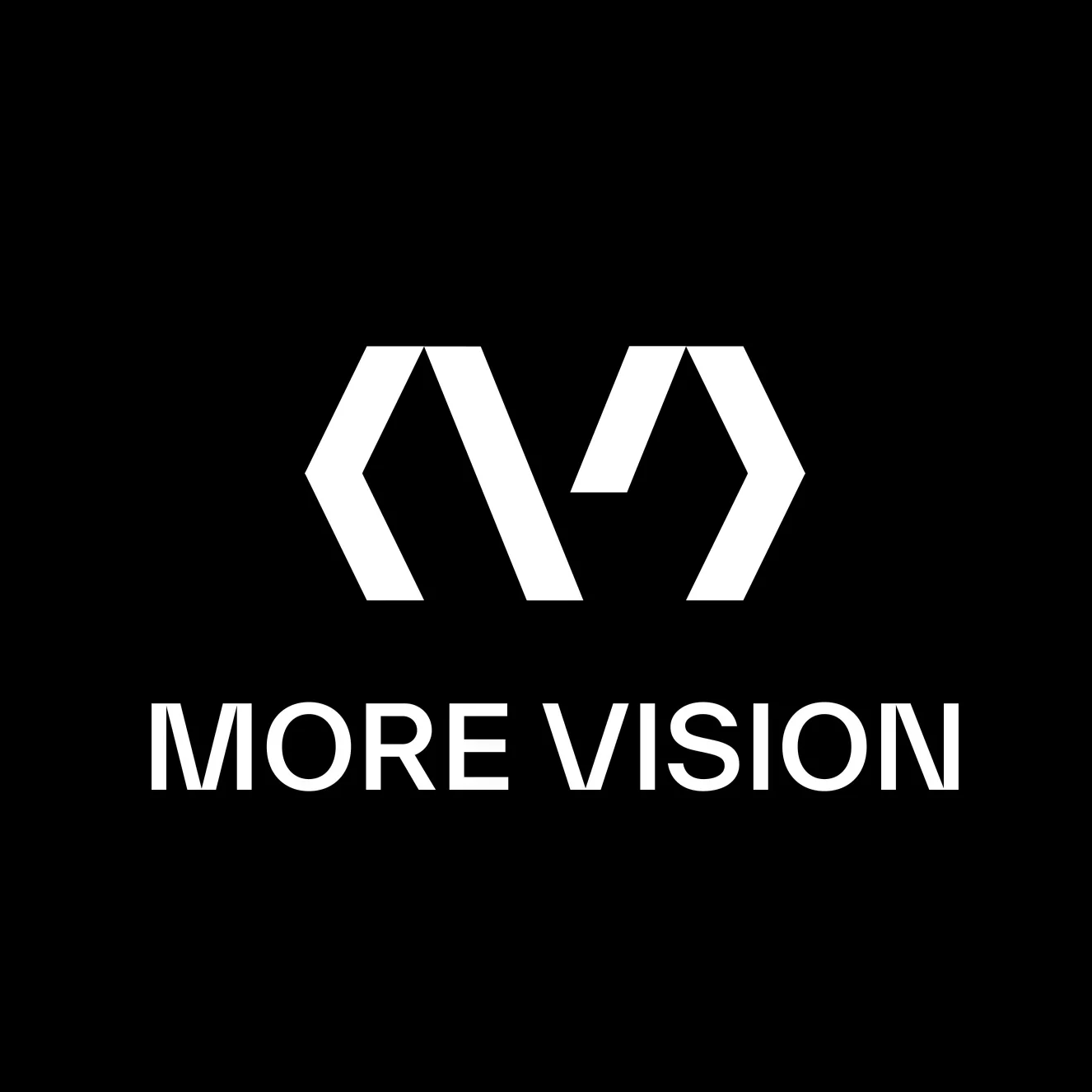 MORE VISION company logo