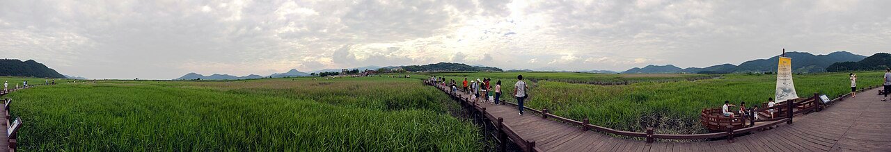 Panoramic view of Suncheon Bay on the EXO KAI and SEHUN travel route